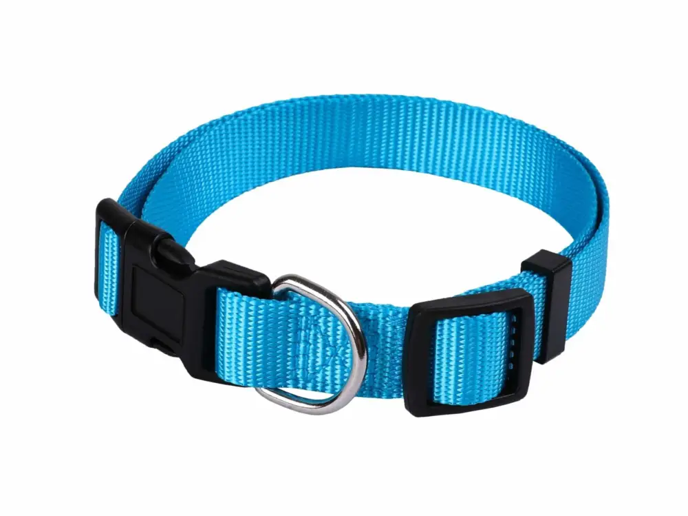 Offre Exclusive Animalis – Collier Basic pour Chien Bleu