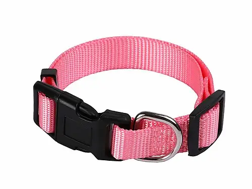 Animalis - Collier Basic pour Chien Rose Offre Exclusive