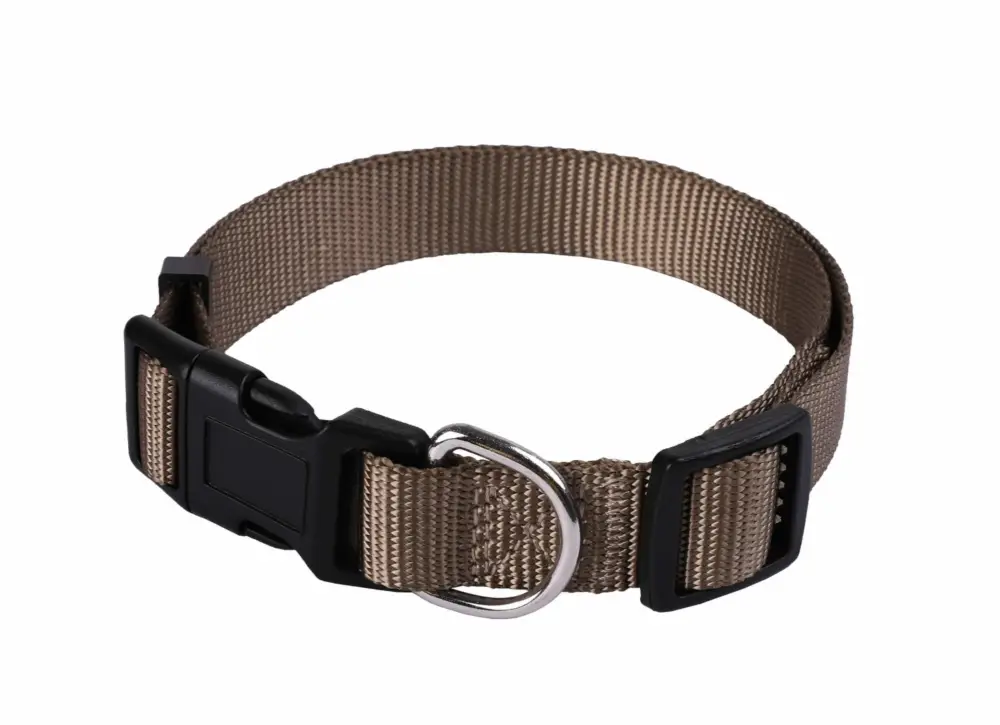 Animalis - Collier Basic pour Chien Taupe Nouvel Arrivage