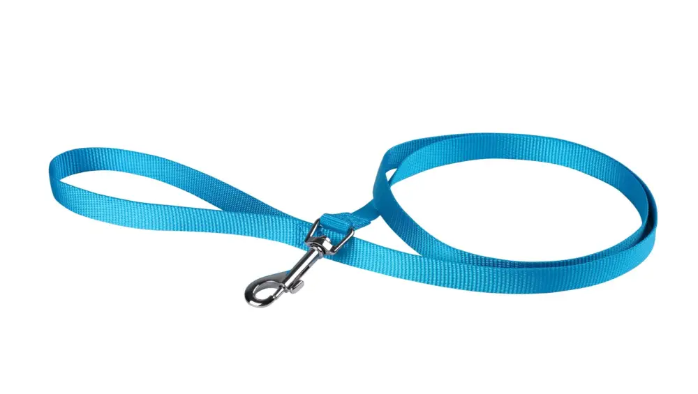 Vente Flash Animalis - Laisse Basic pour Chien Bleu