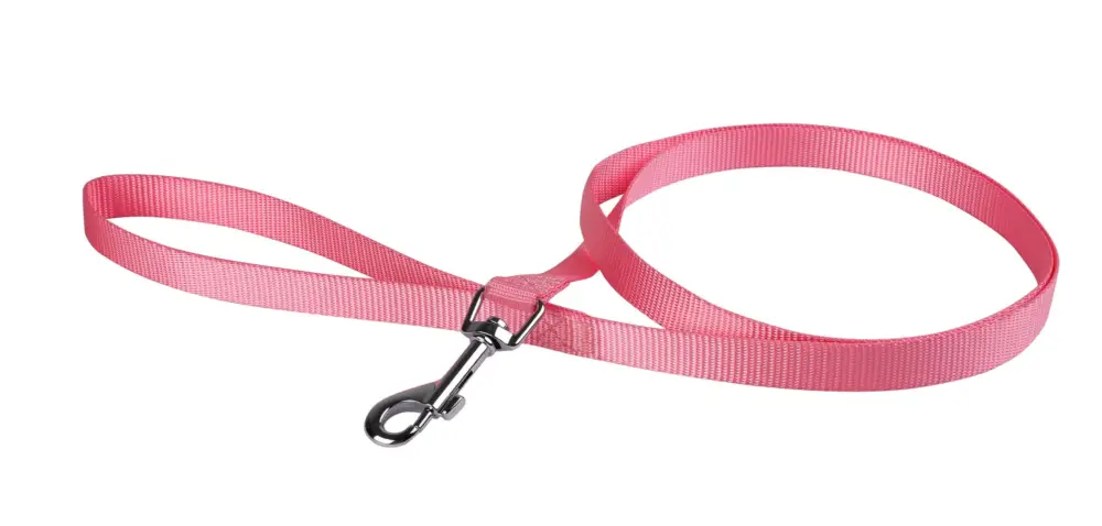 Animalis - Laisse Basic pour Chien Rose Promotion Saisonnière