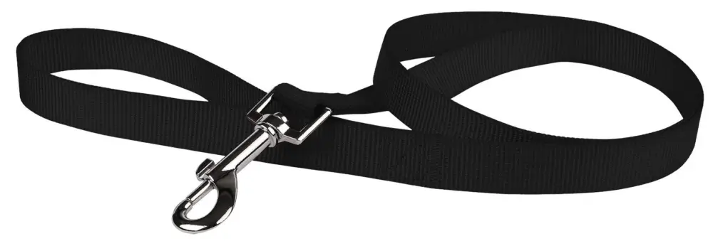 Achat Immédiat Animalis - Laisse Basic pour Chien Noir