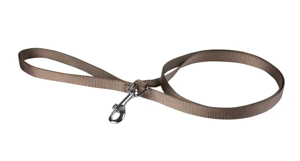 Prix Choc Animalis – Laisse Basic pour Chien Taupe