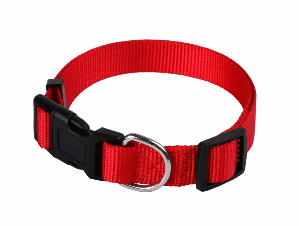 Soldes Animalis – Collier Basic pour Chien Rouge