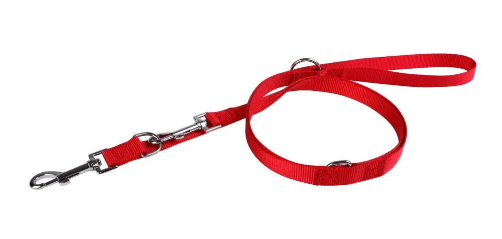 Achetez Aujourd'hui Animalis - Laisse Multifonction Basic 20mm et 200cm pour Chien - Rouge