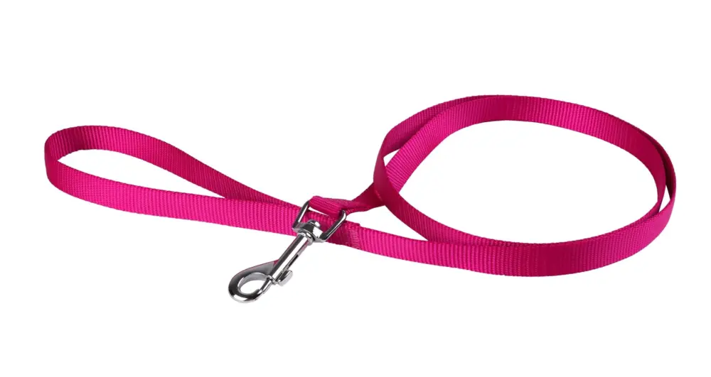 Prix Bas Animalis - Laisse Basic pour Chien Fuchsia
