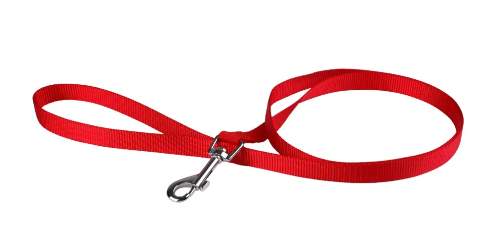 Must-Have Animalis - Laisse Basic pour Chien Rouge
