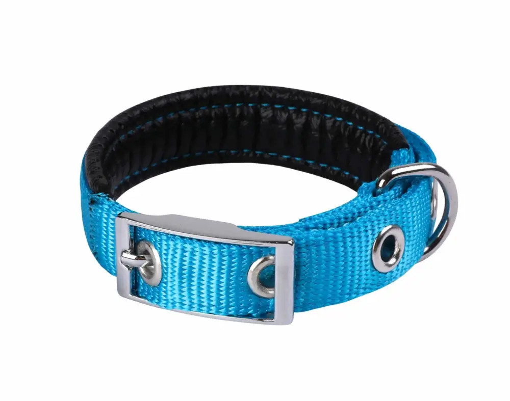 Animalis – Collier Basic Confort pour Chien Bleu Meilleur Choix