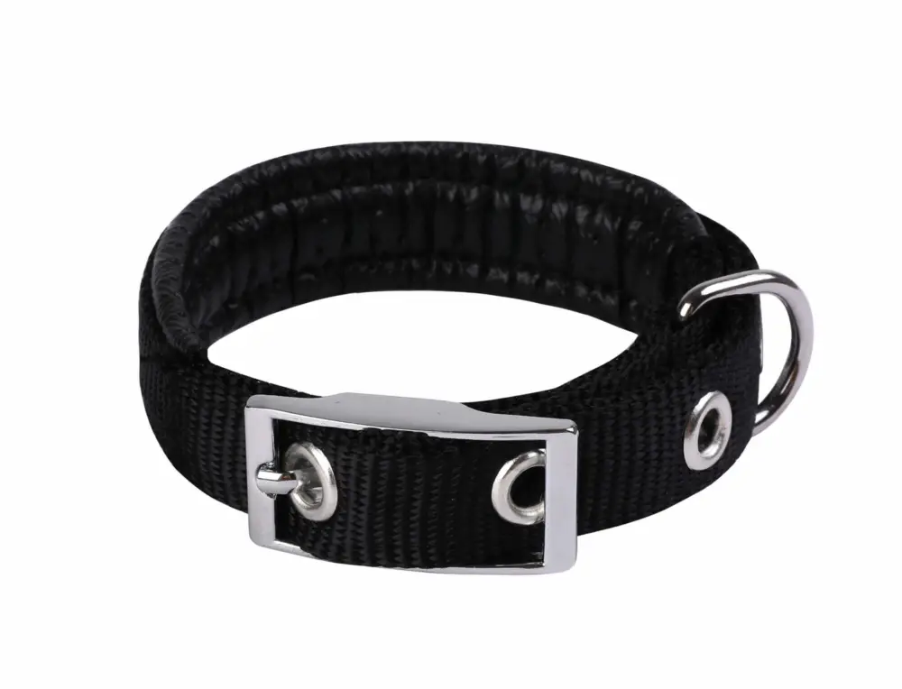 Animalis – Collier Basic Confort pour Chien Noir Commander Maintenant