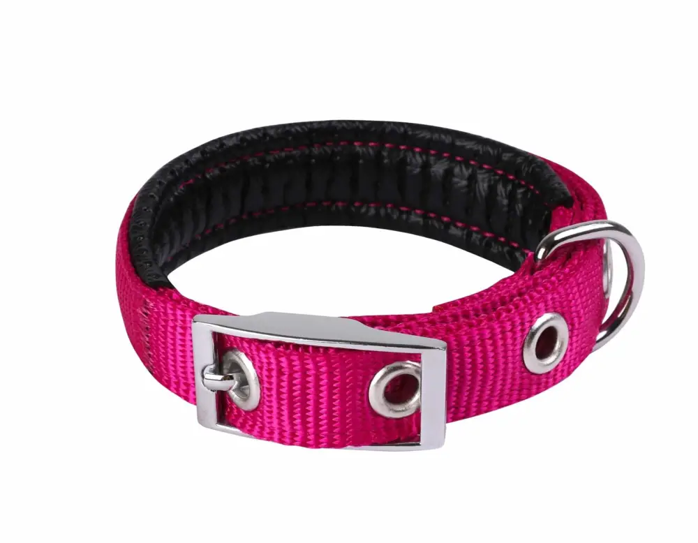 Retour Gratuit Animalis - Collier Basic Confort pour Chien Fuchsia