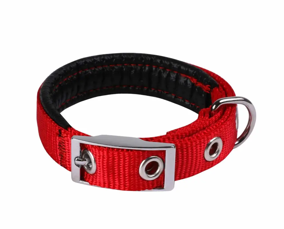 Animalis – Collier Basic Confort pour Chien Rouge Vente Flash