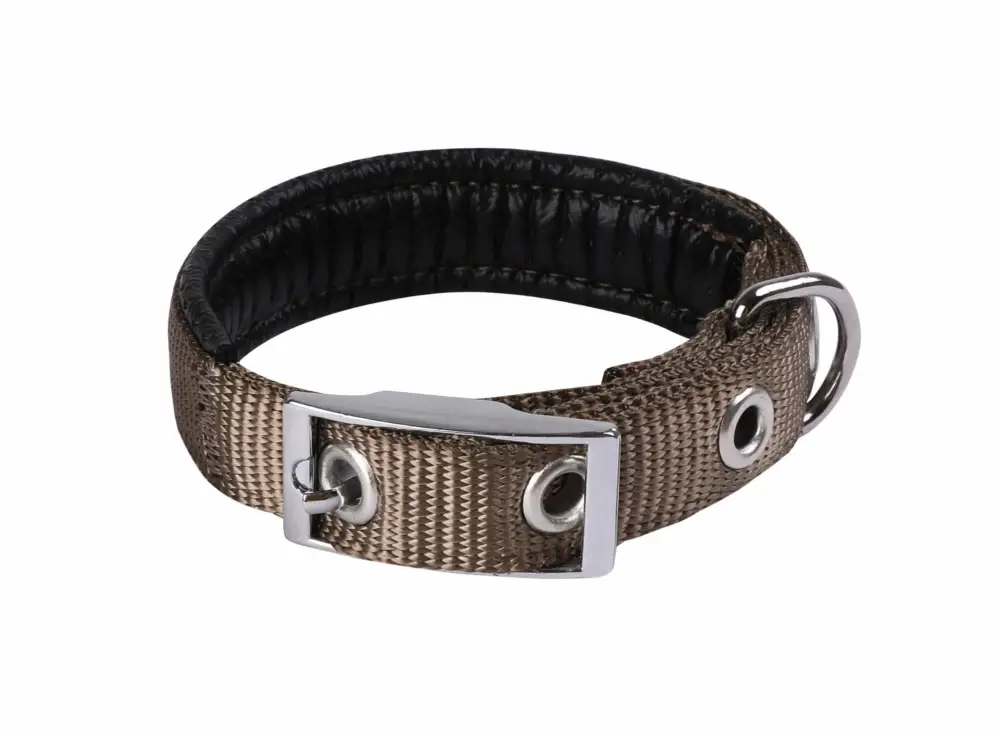 Animalis – Collier Basic Confort pour Chien Taupe Meilleur Choix
