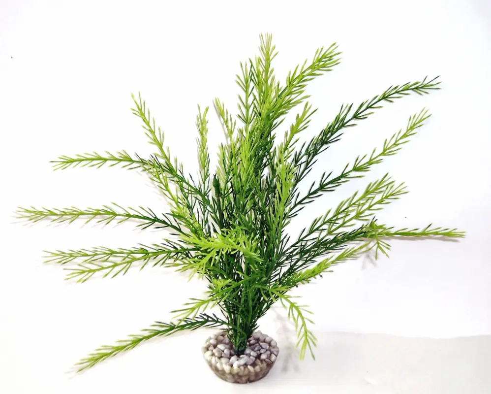 Bon Plan Labeo – Rotala – Plante Artificielle Aquarium