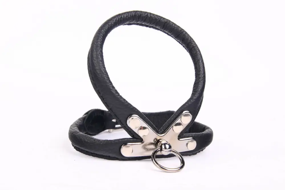 Livraison Express Yogipet – Harnais Cuir pour Chien Noir