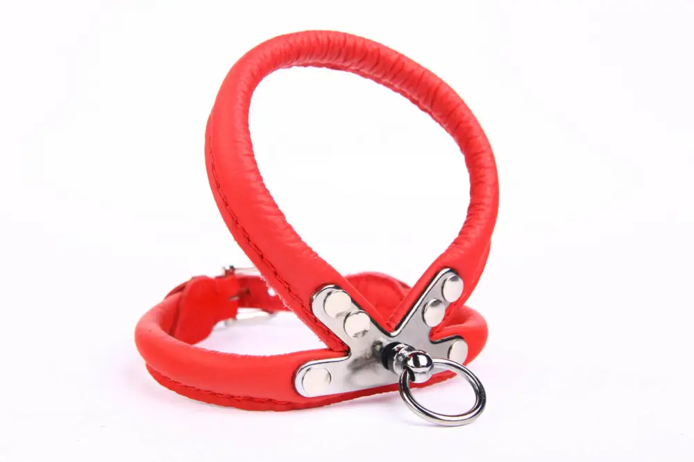 Expédition Rapide Yogipet – Harnais Cuir pour Chien Rouge