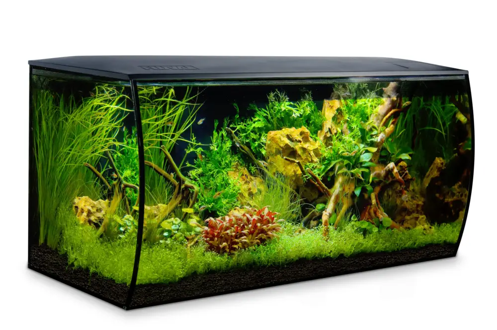 Vente Directe Fluval – Aquarium Flex Noir – 123L