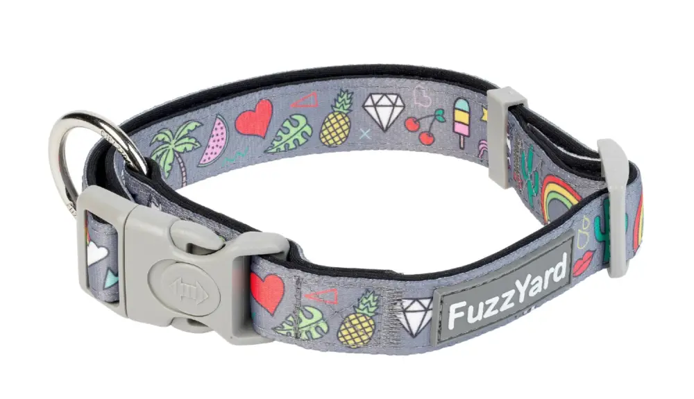 FuzzYard – Collier Coachella pour Chien – L Satisfait Ou Remboursé
