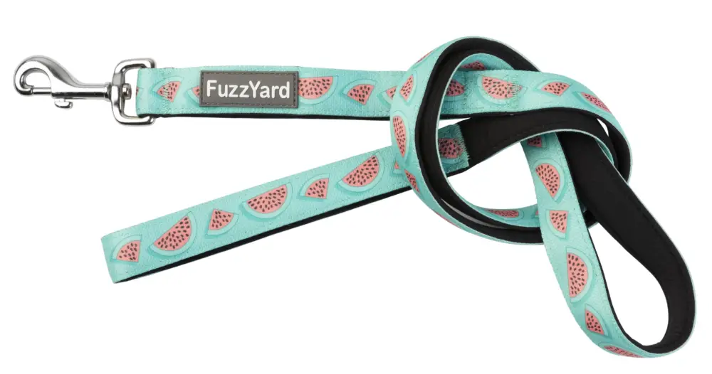 Commande En Gros FuzzYard – Laisse Summer Punch pour Chien – S