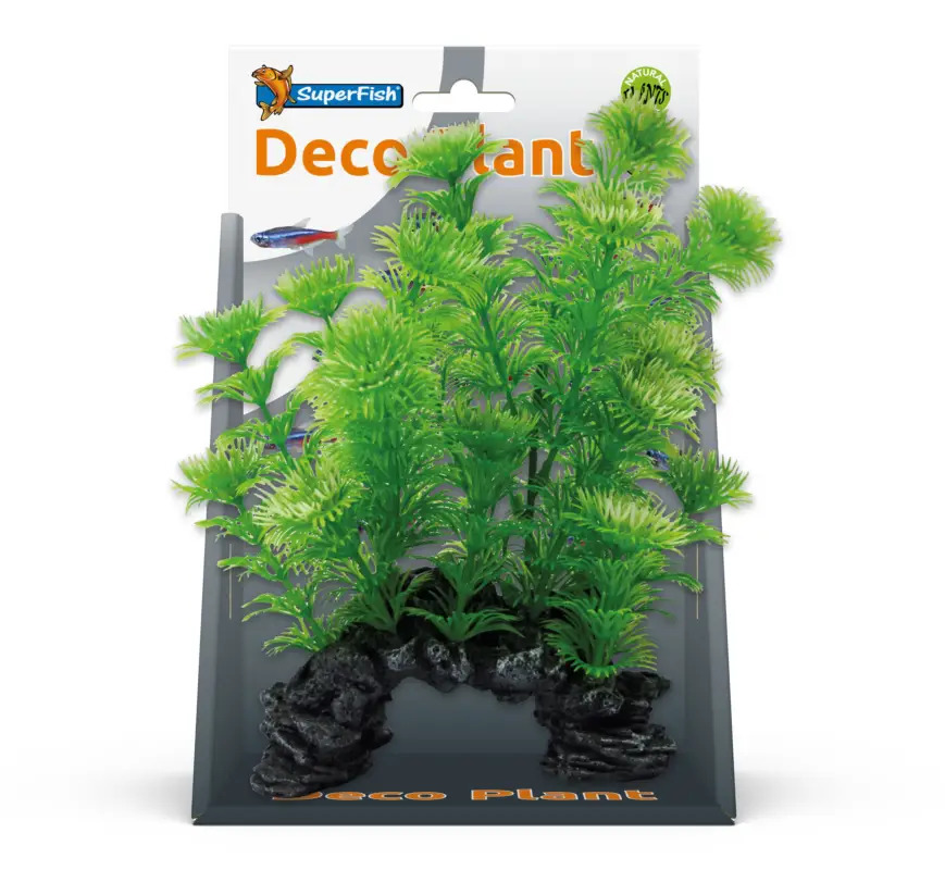Superfish - Décoration Plante Artificielle Cabomba pour Aquarium - S Prix Bas
