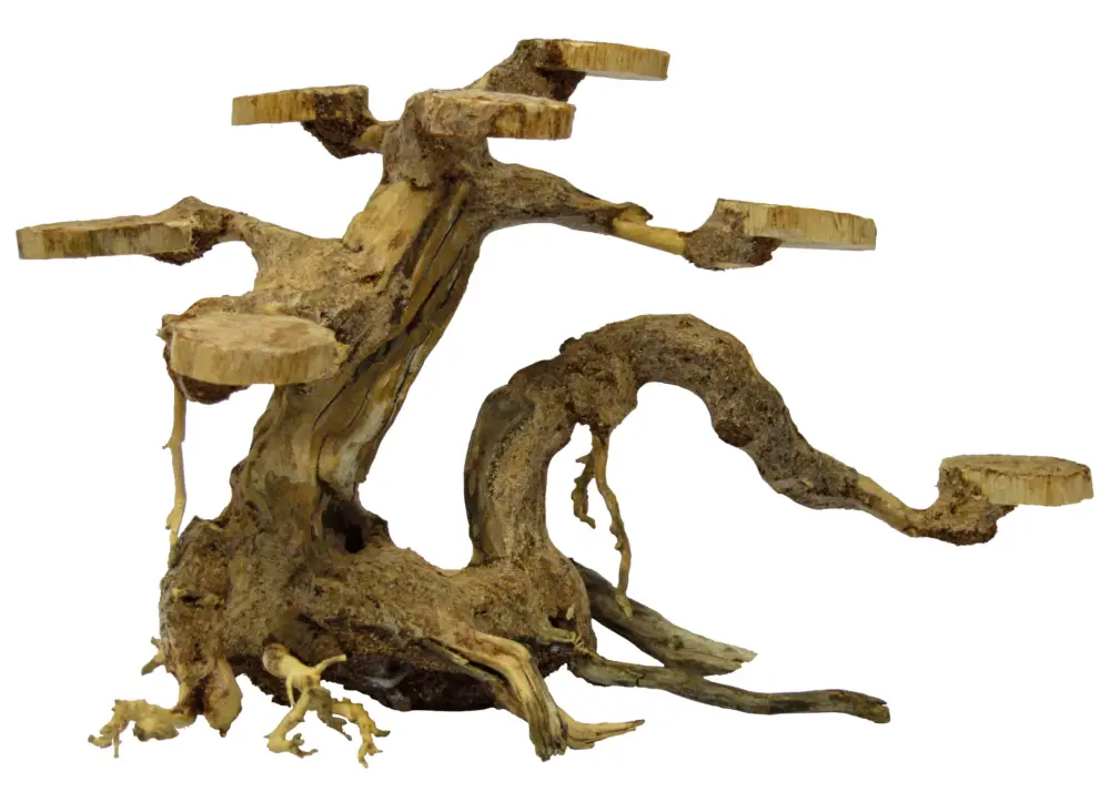 Usine Directe Superfish – Racine Bonsai Planter pour Aquarium – S
