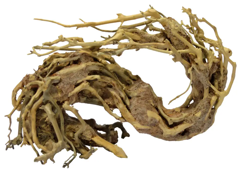 Superfish - Racine Bonsai Wave pour Aquarium - S Dernière Chance