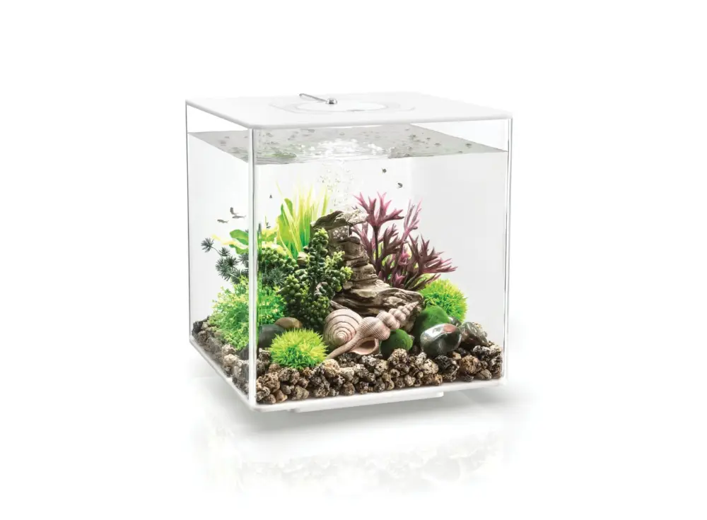 Soldes biOrb - Aquarium Cube - 30 mcr blanc