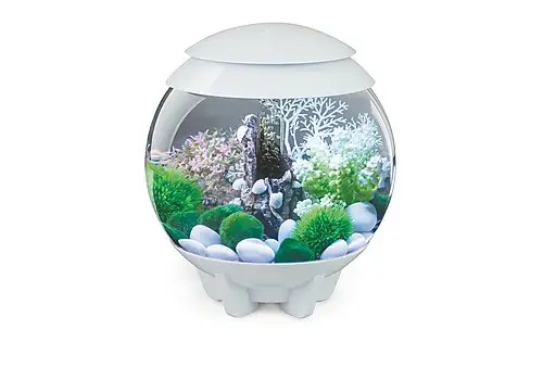 biOrb – Aquarium Halo – 15 mcr blanc Must-Have