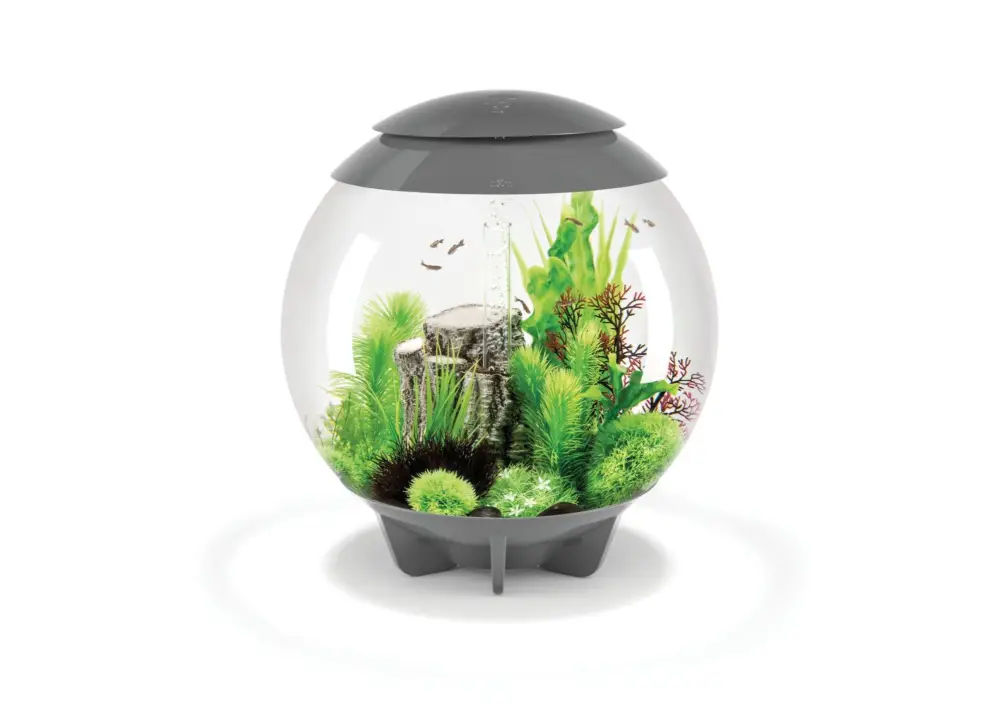 Affaire À Saisir biOrb – Aquarium Halo – 60 mcr gris