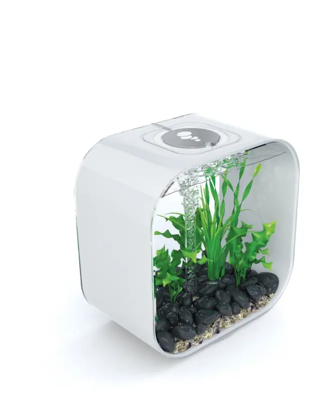 Nouvel Arrivage biOrb – Aquarium Life – 30 mcr blanc