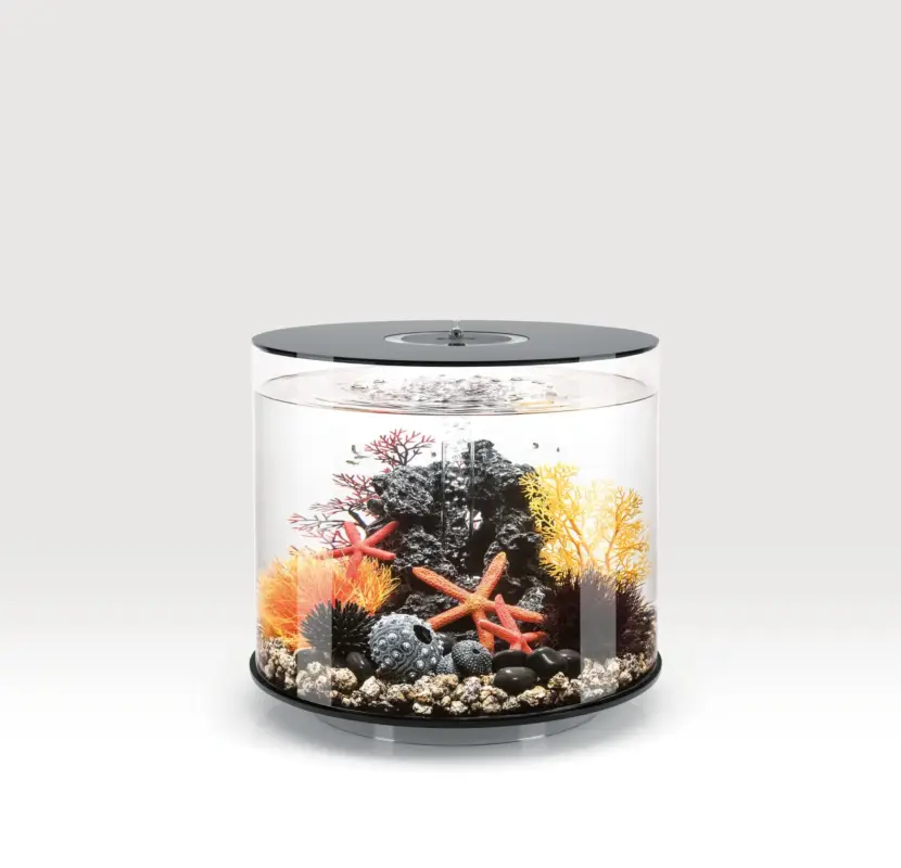 biOrb – Aquarium Tube – 35 mcr noir Dernier Modèle