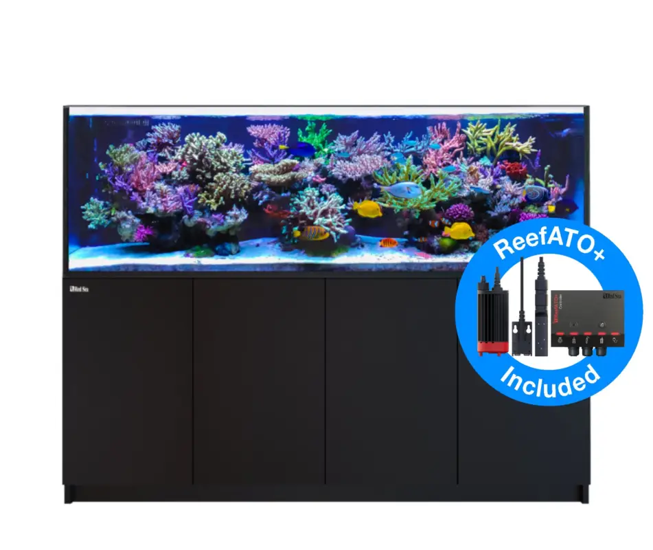 Remise Red Sea - REEFER - 900 G2+ NOIR