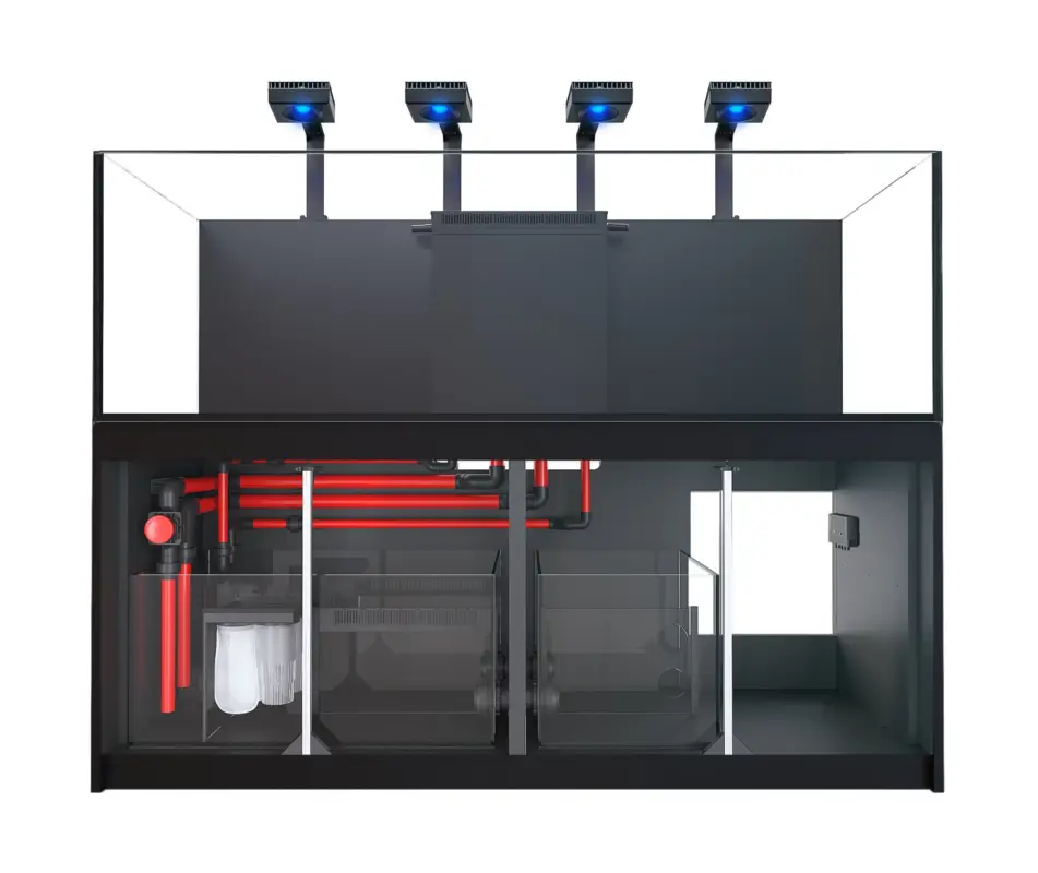 Red Sea - REEFER - 900 G2+ DLX NOIR Meilleur Choix