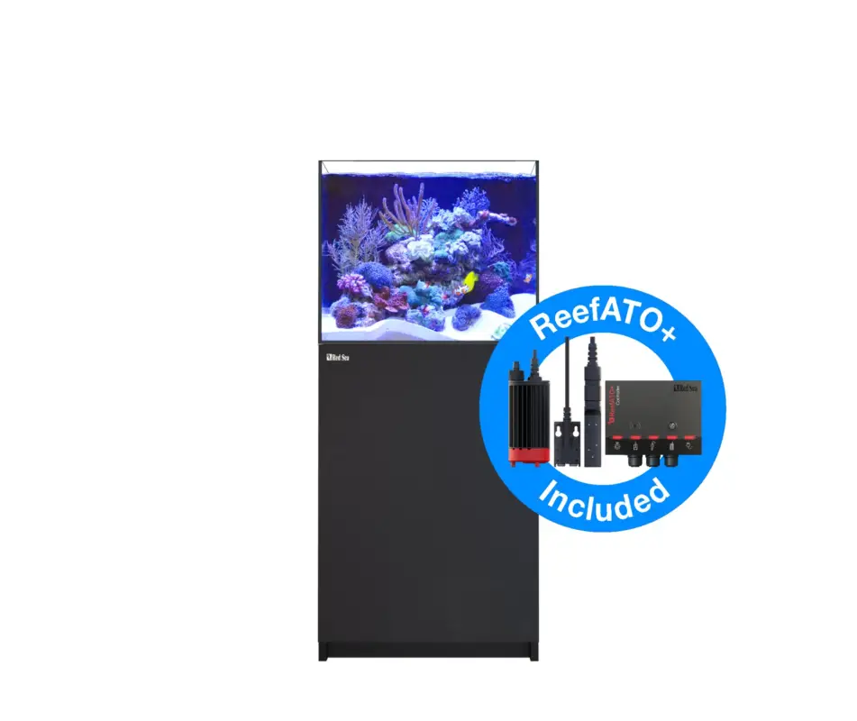 Soldes Red Sea – REEFER – 200 G2+ NOIR