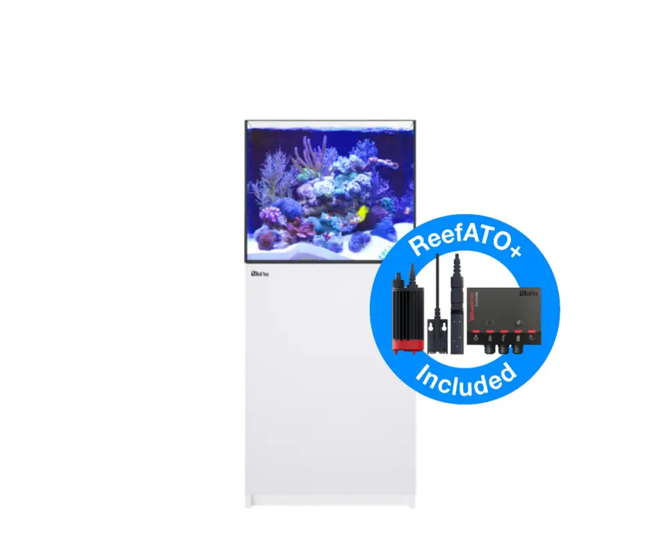 Red Sea - REEFER - 200 G2+ BLANC Meilleure Vente
