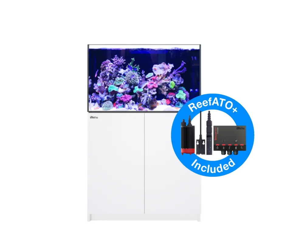 Authentique Red Sea - REEFER - 300 G2+ BLANC