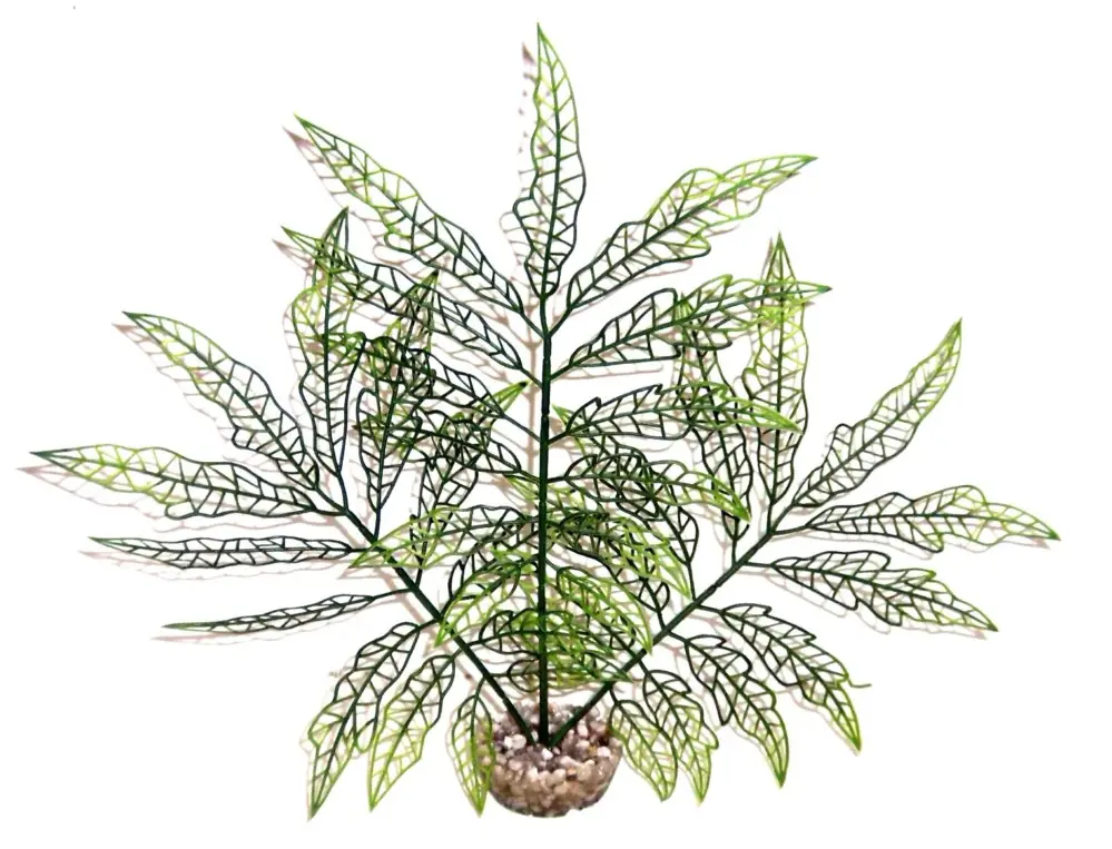 Offre Du Jour Labeo – Plante de D&eacute;coration Herbe Verte pour Aquarium