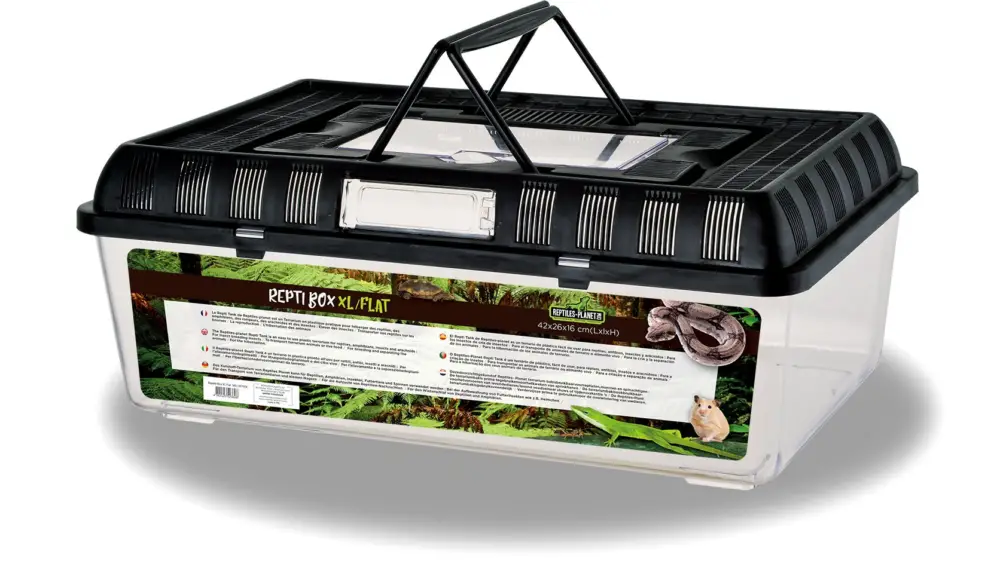Offre Spéciale Reptiles Planet - Terrarium en Plastique Repti Box Plat - XL