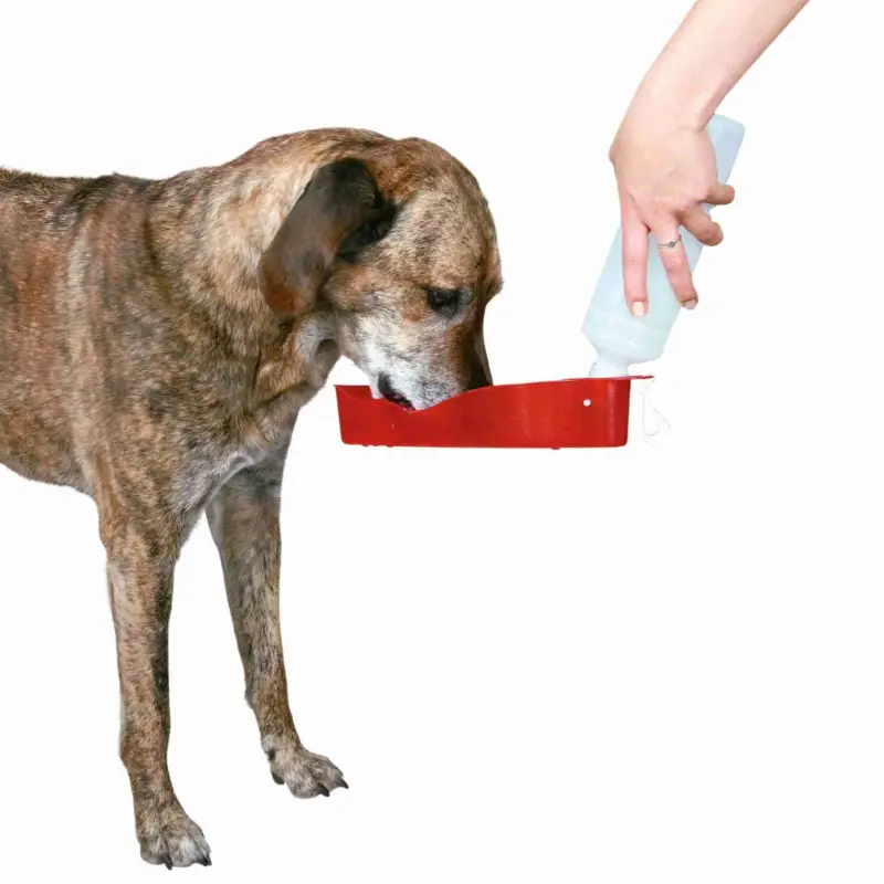 Certifié Trixie - Gourde avec Ecuelle pour Chien