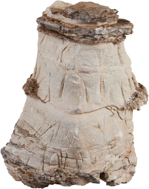 Sera - Pierre Naturelle Rock Asian Pagoda pour Aquarium - XXL Promotion Saisonnière