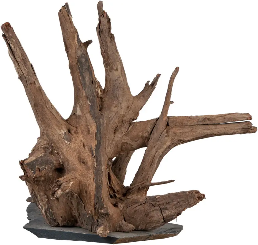 Promotion Sera - Racine Scaper Wood pour Aquarium - M