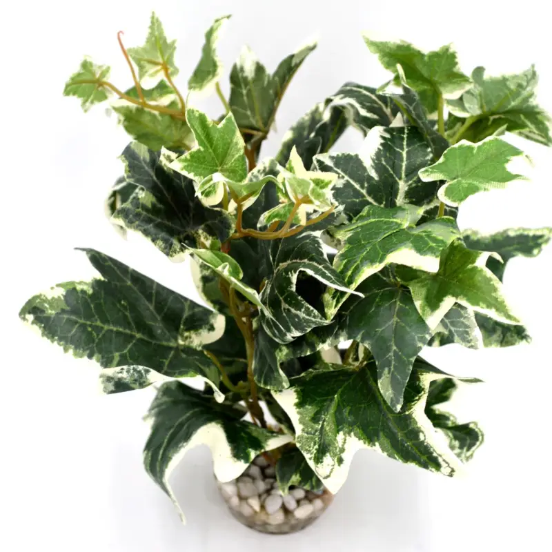 Produit De Marque Labeo – D&eacute;coration Plante Verte Artificielle pour Aquarium