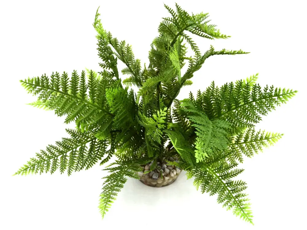 Seulement Aujourd&rsquo;hui Labeo – D&eacute;coration Plante Artificielle Foug&egrave;re pour Aquarium