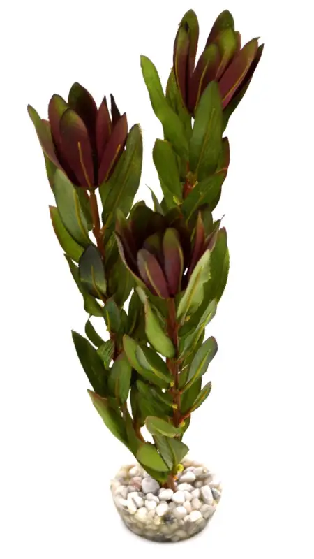 Offre Exclusive Labeo – D&eacute;coration Plante Artificielle Protea pour Aquarium