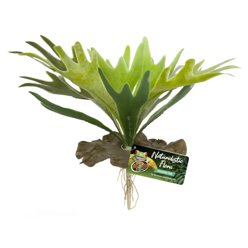 Zoomed – Plante Artificielle Staghorn Fern pour Terrarium Marque