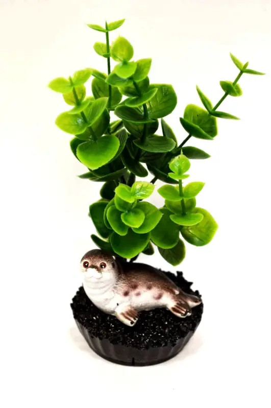 Expédition Rapide Labeo – Plante de D&eacute;coration avec Phoque pour Aquarium