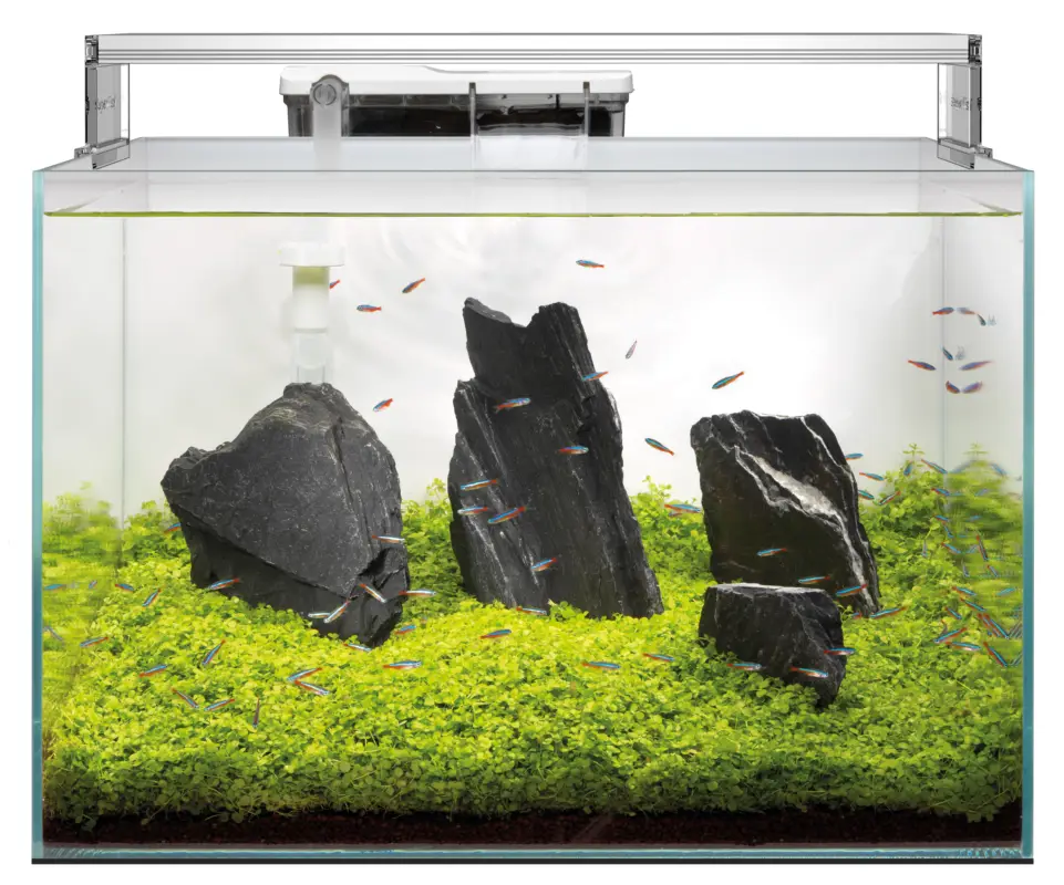 Remise Superfish - Aquarium SCAPER 60 en Verre Crystal Clear - 60L
