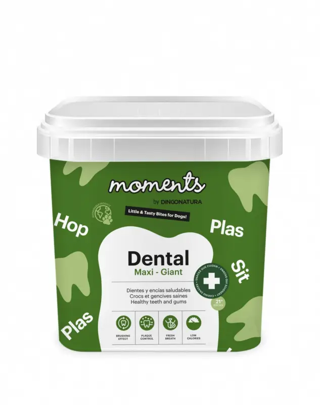Affaire À Saisir Moments – Friandises Sticks Dental Maxi-Giant pour Chien – 500g
