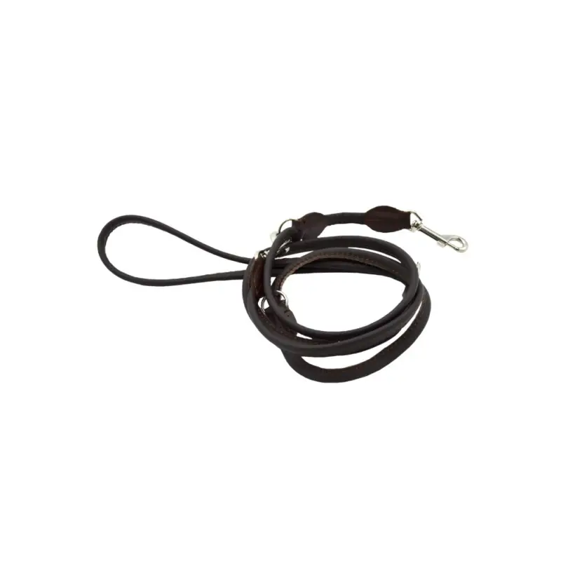 Prix Promo Comme Un Roi – Laisse Cuir Ajustable So Chic Marron pour Chien et Chat – 220cm
