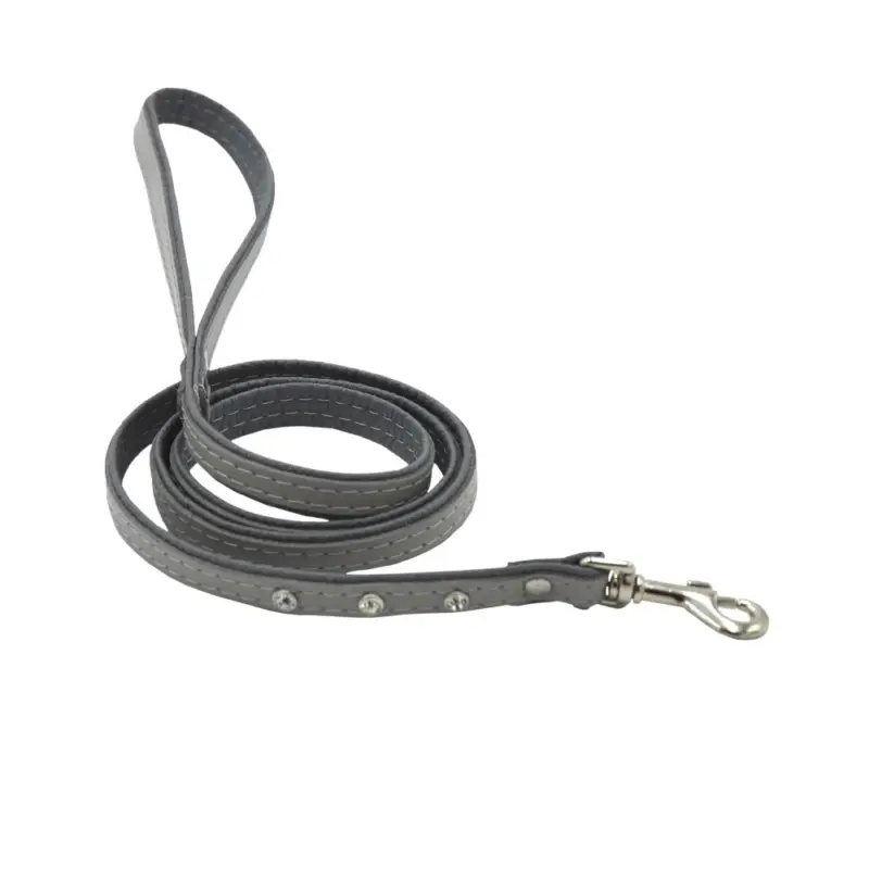 Seulement Aujourd&rsquo;hui Comme Un Roi – Laisse Cuir et Strass So Nature Gris pour Chien et Chat – 120cm