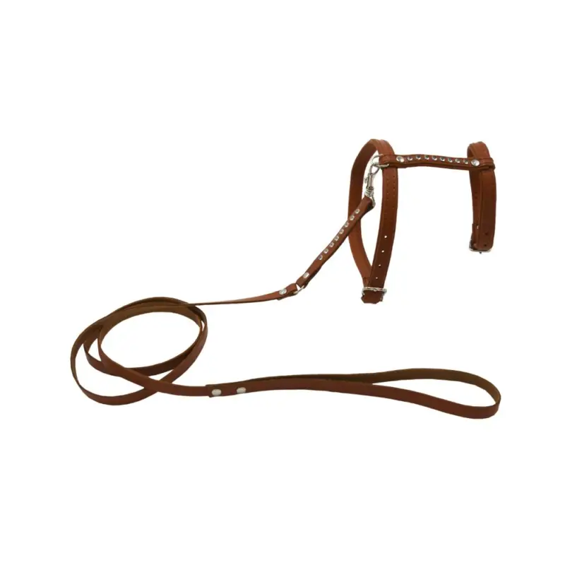 Nouvelle Collection Comme Un Roi – Harnais et Laisse Cuir So Chic Caramel pour Chat – TU